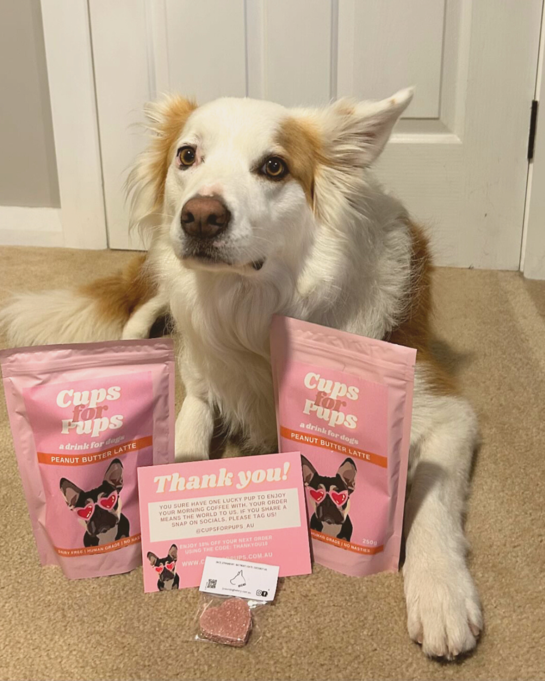 Peanut Butter Latte Dog Drink - EXP OCT 25