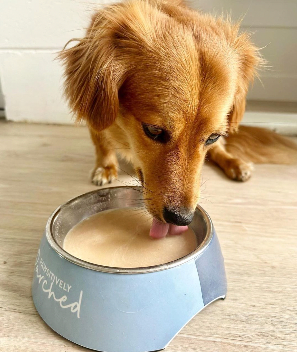 Peanut Butter Latte Dog Drink - EXP OCT 25